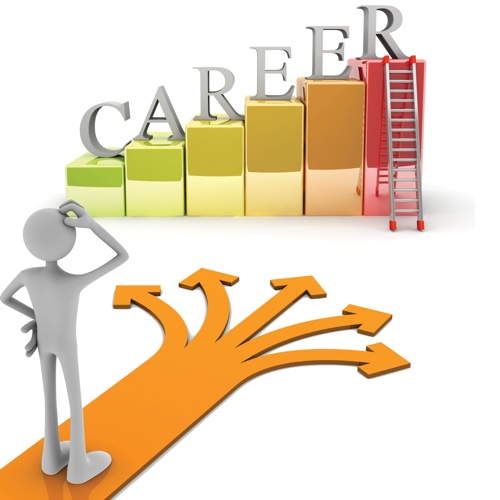Career guidance